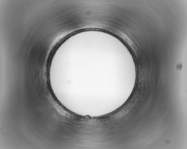 X0000090411072200708101914