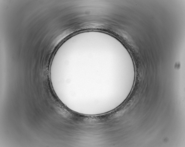 X0000090411073200708101914