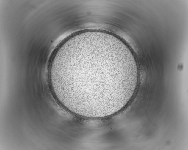 X0000090411074200708101914