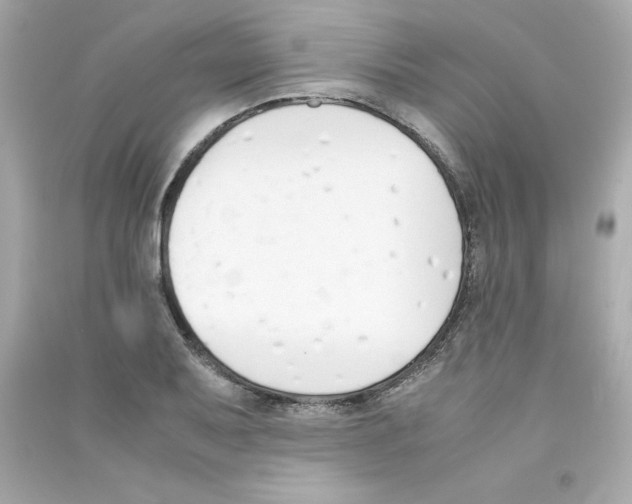 X0000090411079200708101914
