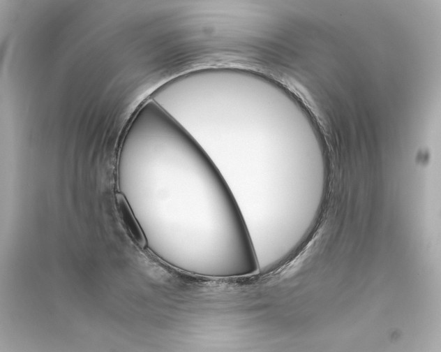 X0000090411081200708101914