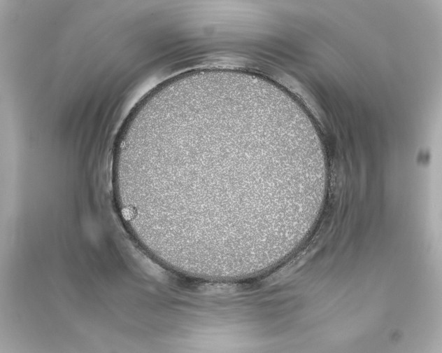 X0000090411083200708101914