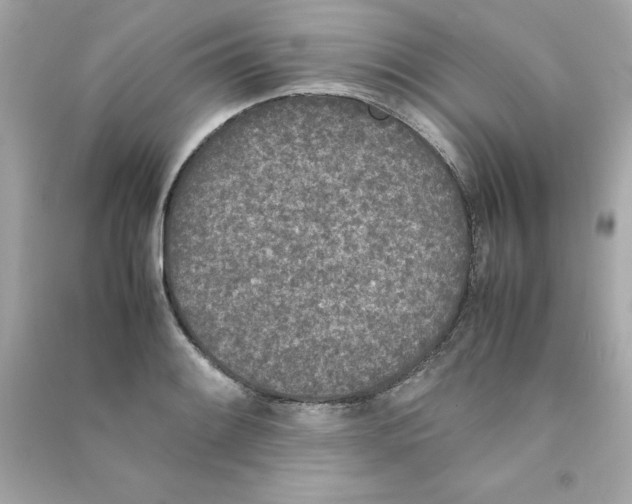 X0000090411084200708101914