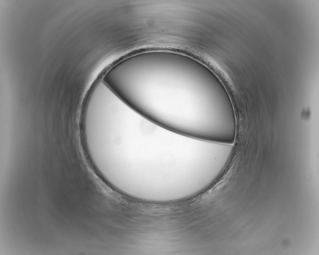X0000090411085200708101914