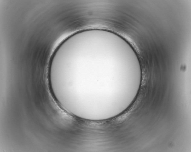 X0000090411086200708101914