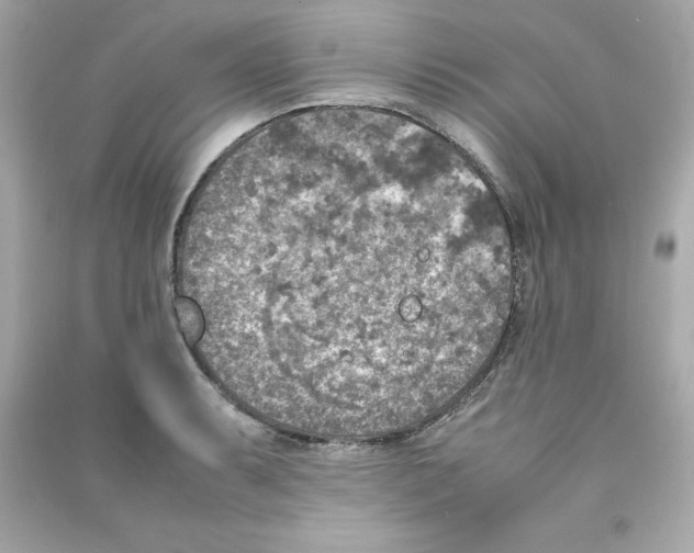 X0000090411087200708101914