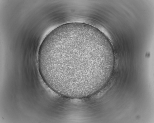 X0000090411088200708101914