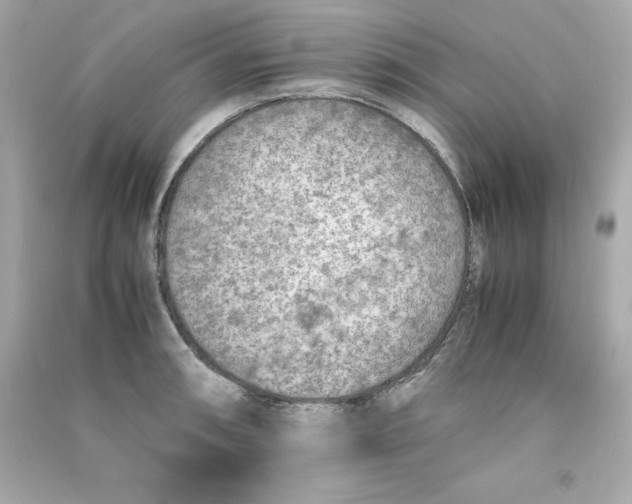 X0000090411090200708101914