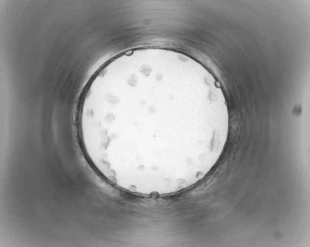 X0000090411091200708101914