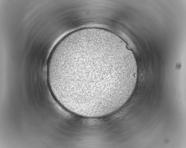 X0000090411092200708101914