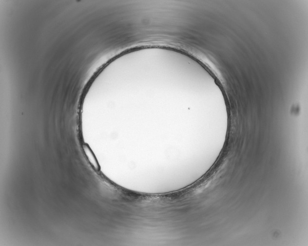 X0000090411093200708101914