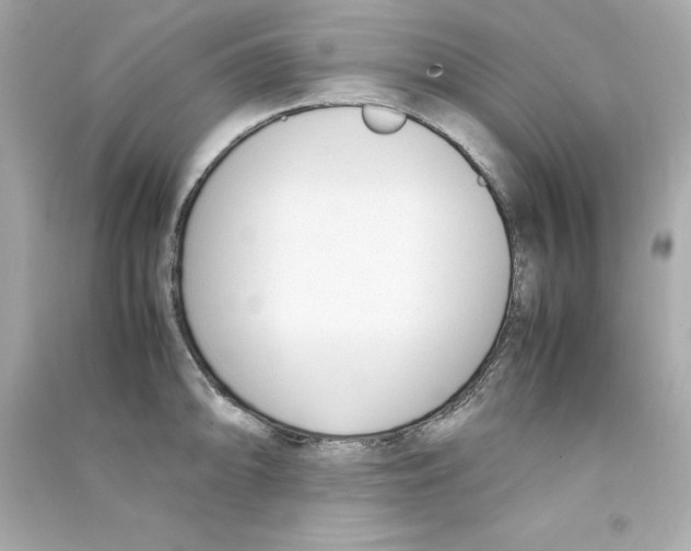 X0000090411094200708101914