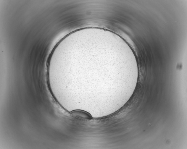 X0000090411096200708101914