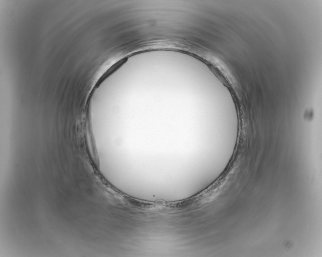 X0000090411097200708101914
