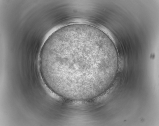 X0000090411098200708101914