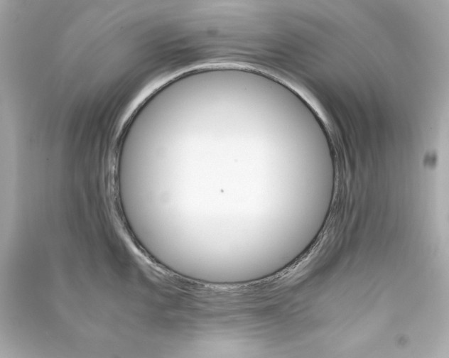 X0000090411101200708101914