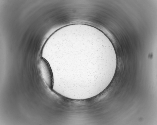 X0000090411102200708101914