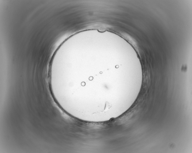 X0000090411103200708101914