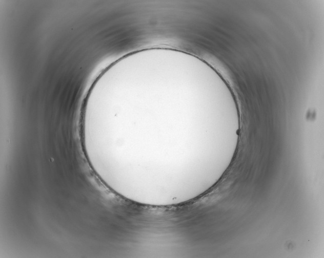X0000090411104200708101914