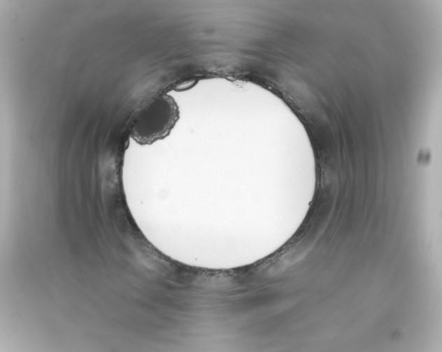 X0000090411106200708101913