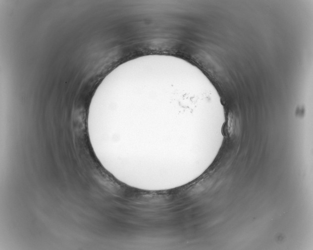 X0000090411107200708101913