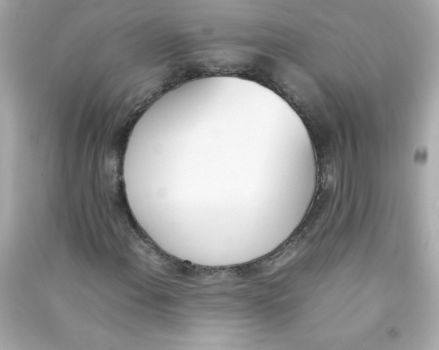 X0000090411108200708101913