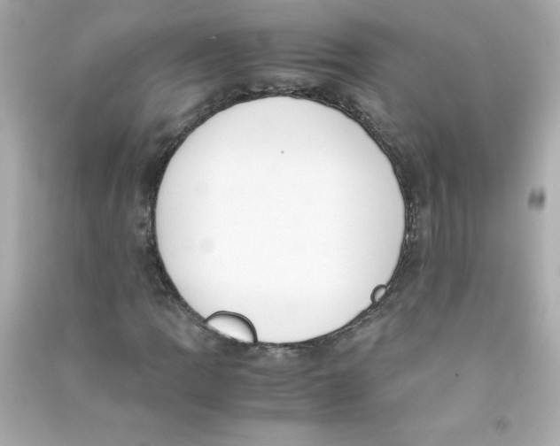 X0000090411109200708101913