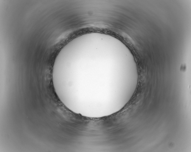 X0000090411110200708101913