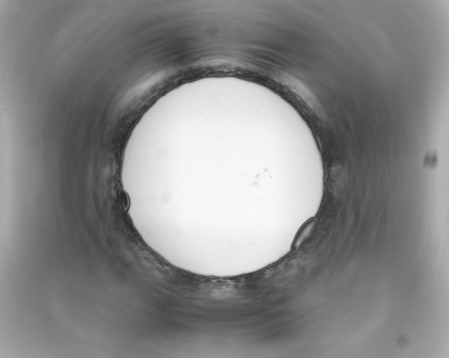 X0000090411111200708101913