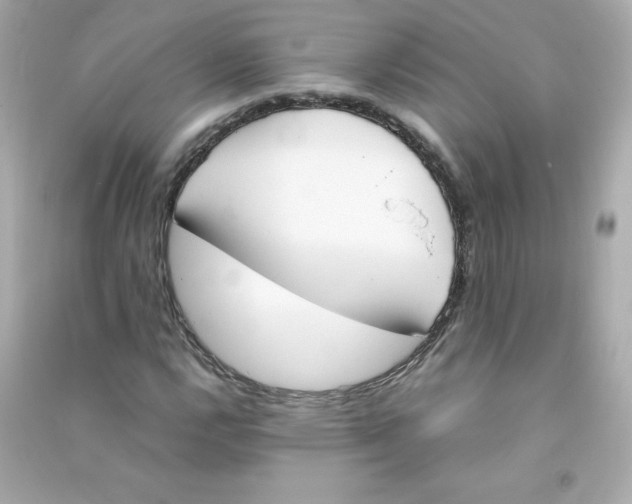 X0000090411112200708101913