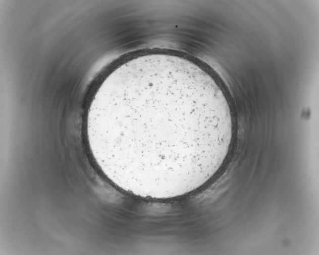 X0000090411115200708101913