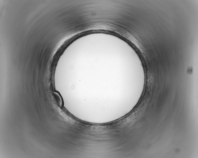 X0000090411116200708101913