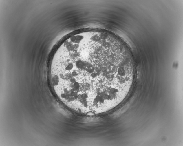 X0000090411117200708101913
