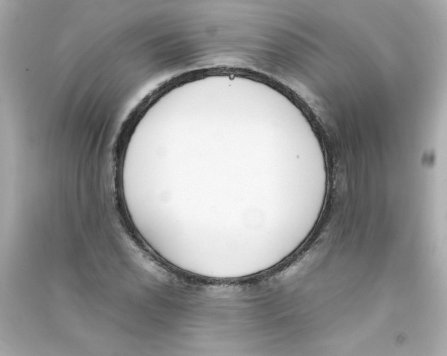 X0000090411118200708101913