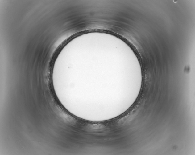 X0000090411119200708101913
