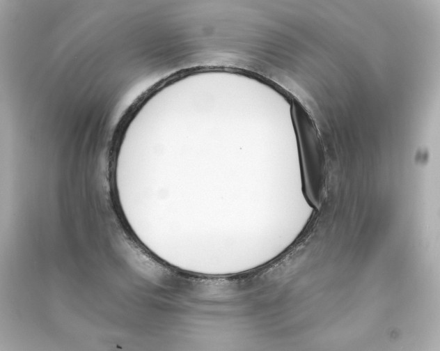 X0000090411120200708101913