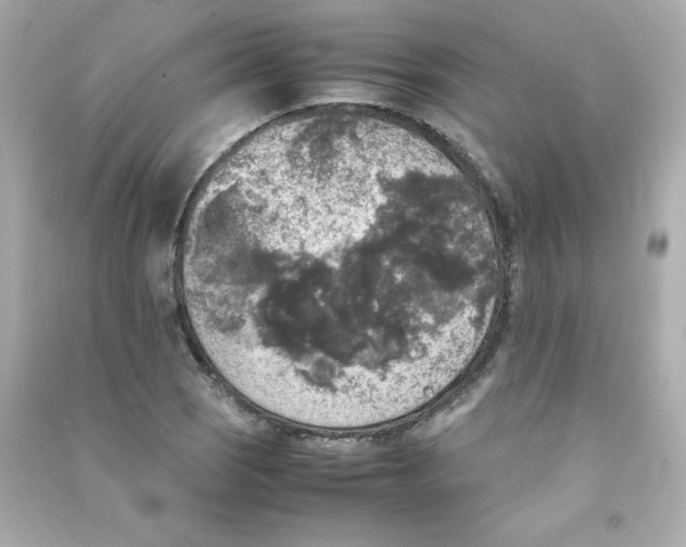 X0000090411121200708101913