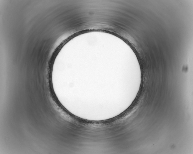 X0000090411122200708101913