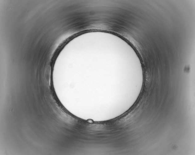 X0000090411123200708101913