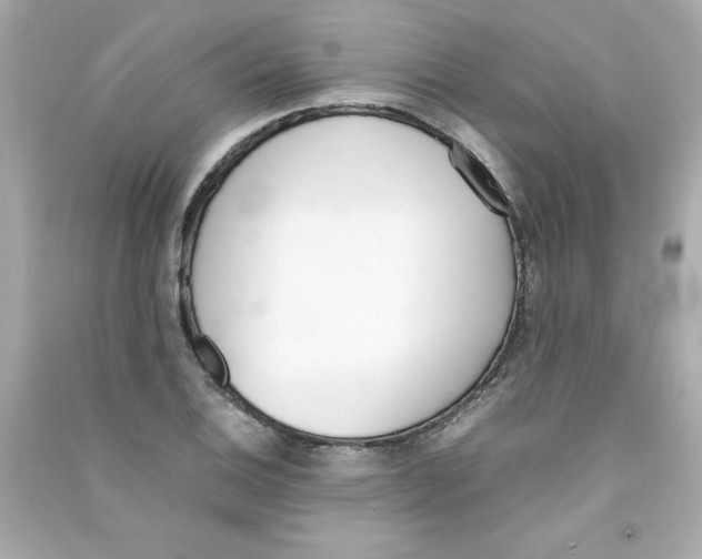 X0000090411124200708101913