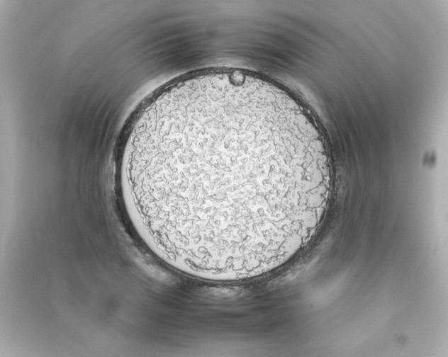 X0000090411125200708101913