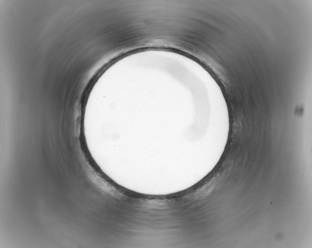 X0000090411126200708101913