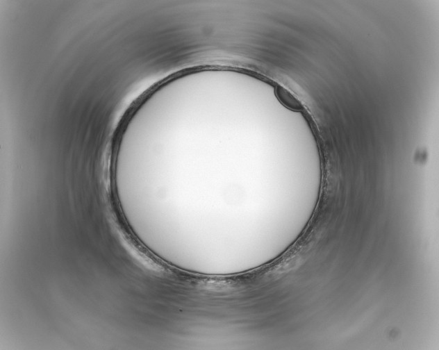 X0000090411128200708101913