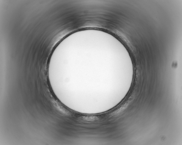 X0000090411129200708101913