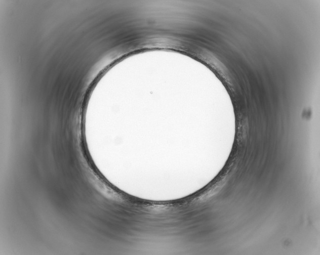 X0000090411130200708101913