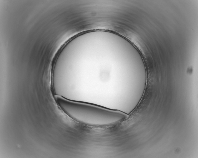 X0000090411132200708101913