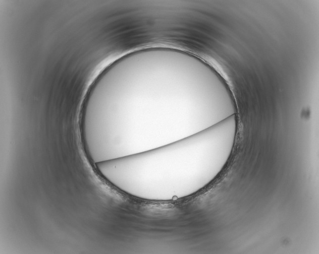 X0000090411133200708101913