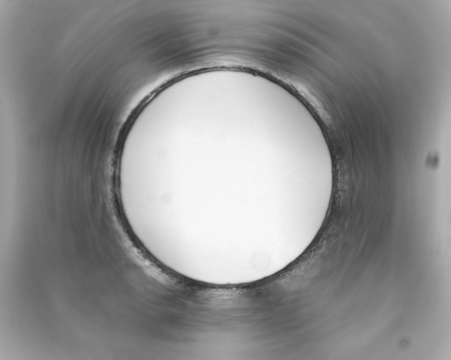 X0000090411134200708101913