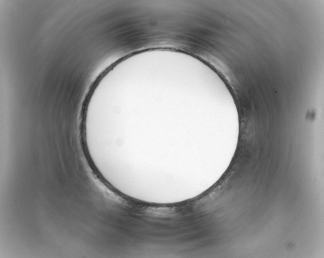 X0000090411135200708101913