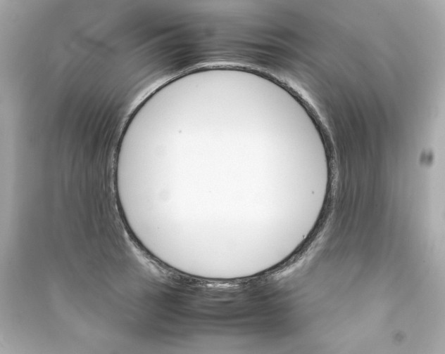 X0000090411137200708101913